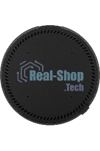 Умная колонка Яндекс Станция Мини, 10Вт, с голосовым ассистентом Алиса на YaGPT, с LED-часами, черный