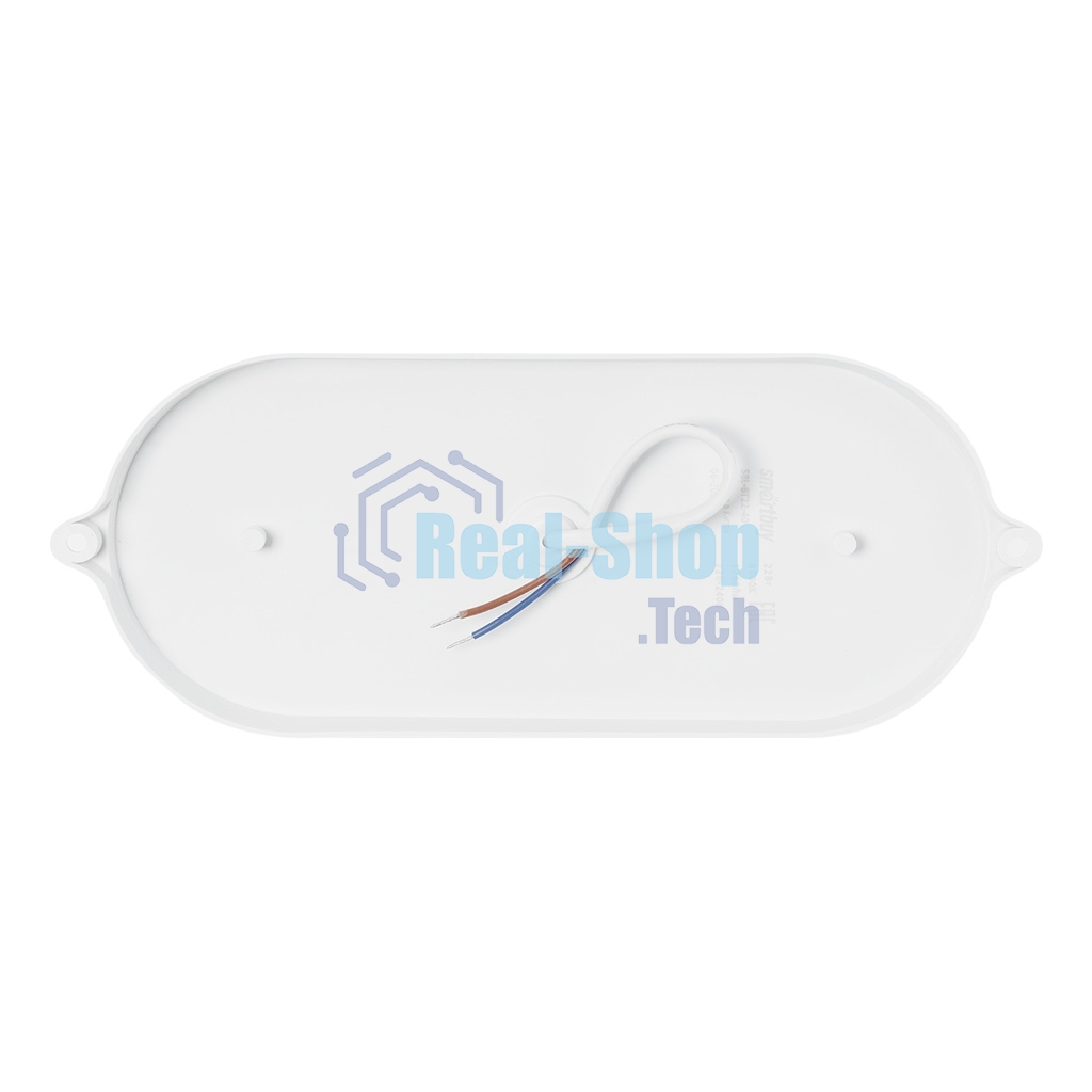 Светильник Smartbuy (SBL-BT22-40) овал 22Вт/4000K/IP65 (SBL-BT22-40)