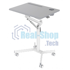 Стол для ноутбука Cactus VM-FDS101B столешница МДФ серый 70x52x106см (CS-FDS101WGY)