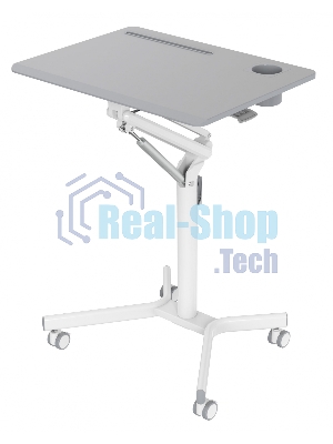 Стол для ноутбука Cactus VM-FDS101B столешница МДФ серый 70x52x106см (CS-FDS101WGY)