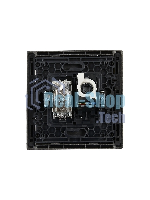 Розетка двойная IEK FORTE&PIANO FP536 TV+RJ45 кат.5E сталь