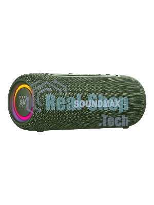 Портативная колонка SOUNDMAX SM-PS5026B зеленый