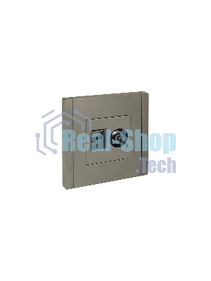 Розетка двойная IEK FORTE&PIANO FP536 TV+RJ45 кат.5E сталь