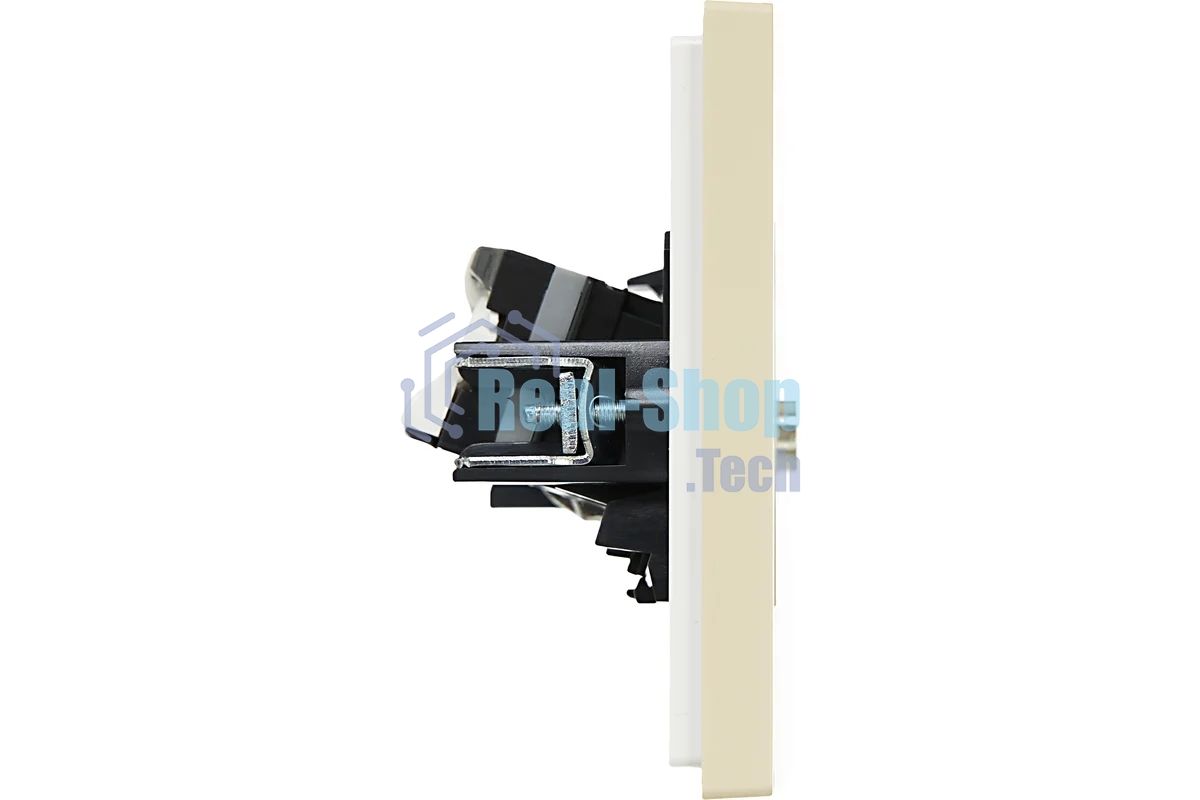 Розетка двойная TV+RJ45 кат.5E IEK FORTE&PIANO FP436 ваниль