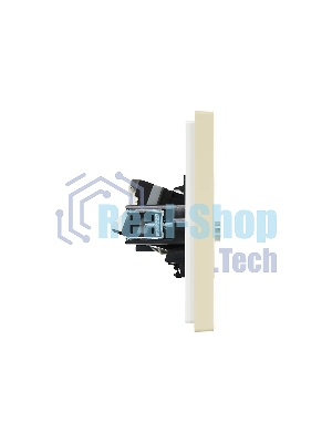 Розетка двойная TV+RJ45 кат.5E IEK FORTE&PIANO FP436 ваниль