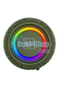 Портативная колонка SOUNDMAX SM-PS5026B зеленый