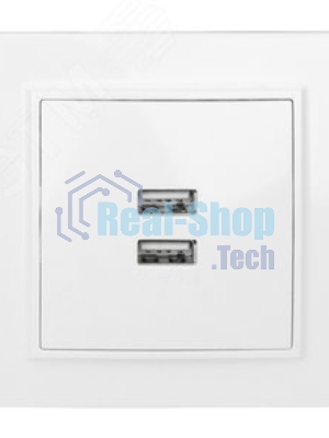 Розетка EKF ERR-2USB-100 Минск USB 2-местная СП 2,1А белая