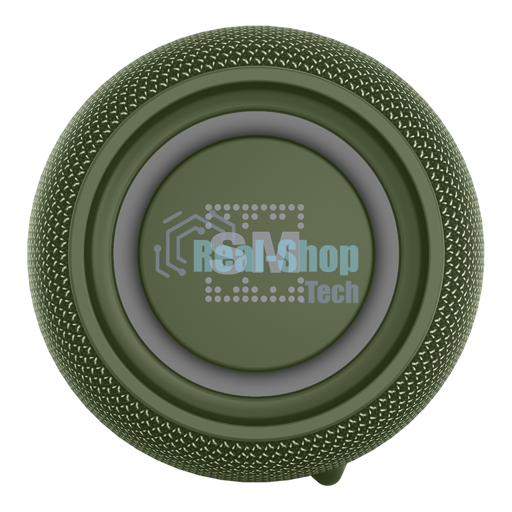 Портативная колонка SOUNDMAX SM-PS5026B зеленый