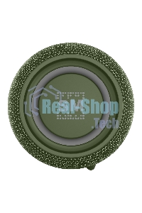 Портативная колонка SOUNDMAX SM-PS5026B зеленый