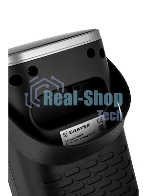 Тепловентилятор BRAYER BR4896