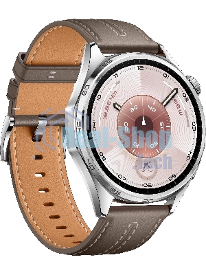 Умные часы Huawei GT 6 ATM-B19 55020FWE серый