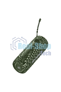 Портативная колонка SOUNDMAX SM-PS5026B зеленый