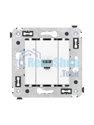 Розетка компьютерная DKC 4400663 1-м СП Avanti 