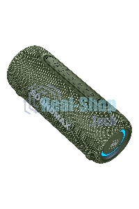 Портативная колонка SOUNDMAX SM-PS5026B зеленый