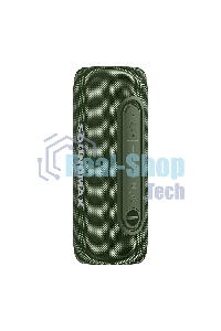 Портативная колонка SOUNDMAX SM-PS5026B зеленый