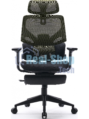 Кресло Cactus CS-CHR-MC01-LGNBK салатовый, сетка, подголовник, подставка для ног