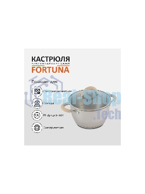 Кастрюля MALLONY Fortuna нержавеющая сталь, со стеклянной крышкой, матовый корпус ручки с силиконом, 2,5 л