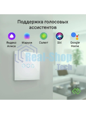 Выключатель умный Digma DiSwitch 3p 3-хкл. универсальный белый (DSW3P)