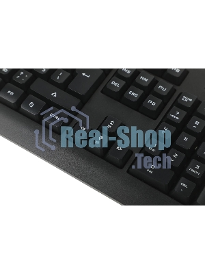 Клавиатура проводная A4Tech Bloody Q100 USB черный