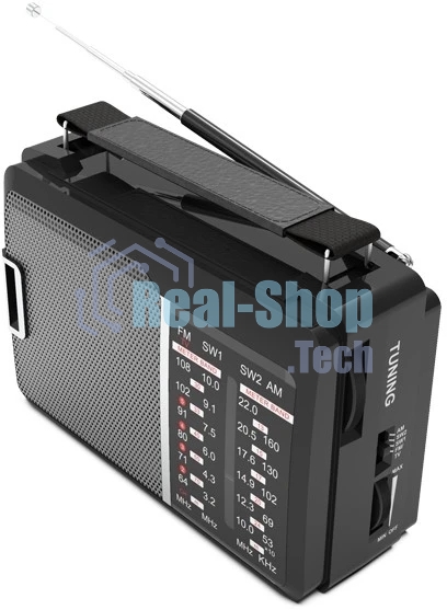 Радиоприемник Ritmix RPR-190