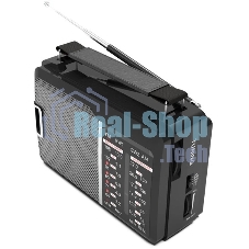Радиоприемник Ritmix RPR-190