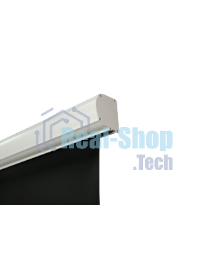 Экран с электроприводом Lumien Master Control 197х280 см (раб. область 153х272см) (122