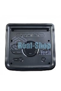 Портативная акустика BQ PBS2005 черный 100 Вт