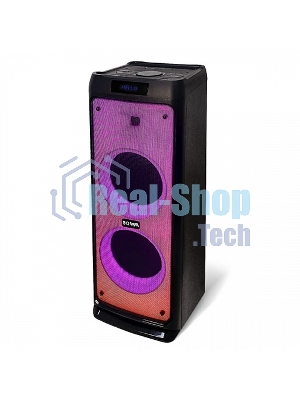 Портативная акустика BQ PBS2005 черный 100 Вт