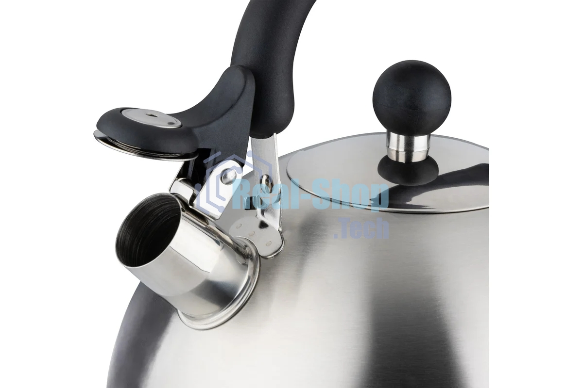 Чайник для плиты MALLONY GRANDE 5 л (985619)