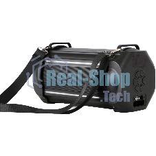 Акустическая система RUIMATECH VA-7804