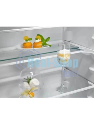 Холодильник Electrolux ENT6ME19S 2-хкамерн.