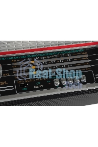 Радиоприемник Ritmix RPR-102 черный