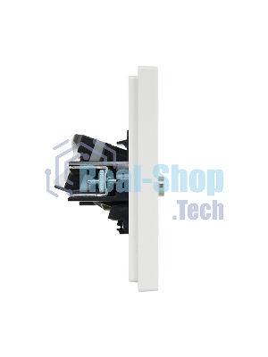 Розетка двойная TV+RJ45 кат.5E IEK FORTE&PIANO FP236 белый