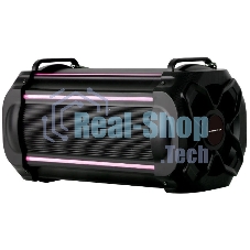 Акустическая система RUIMATECH VA-7804