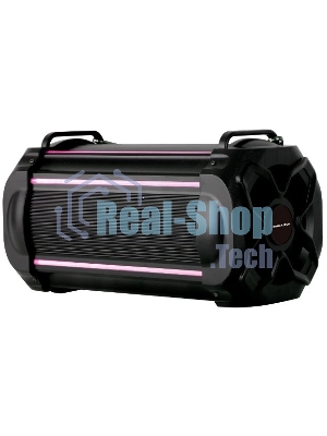 Акустическая система RUIMATECH VA-7804