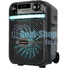 Акустическая система RUIMATECH VA-8610