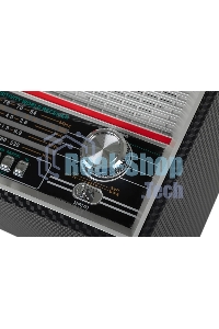 Радиоприемник Ritmix RPR-102 черный
