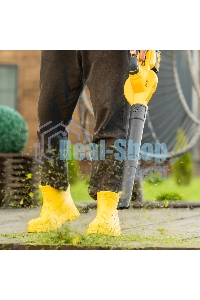 Воздуходувка аккумуляторная Denzel AB-500, 60 м/с, 500 м3/ч, Li-Ion, 20 В