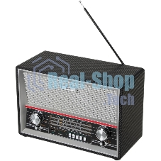 Радиоприемник Ritmix RPR-102 черный