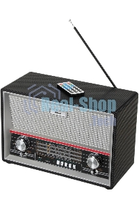 Радиоприемник Ritmix RPR-102 черный