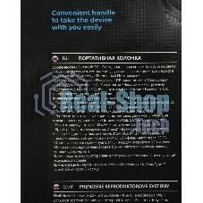 Портативная колонка Defender Boomer 20 20Вт Light/BT/FM/USB/AUX/MIC черный