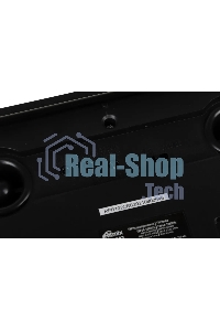 Радиоприемник Ritmix RPR-102 черный