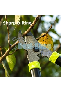 Сучкорез садовый Deli DL580320 длина 690 мм, макс. диаметр резки 25 мм, сталь 55С