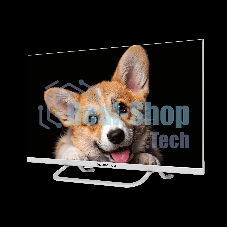 Телевизор Topdevice 24