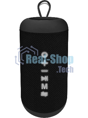 Портативная колонка SOUNDMAX SM-PS5012B черный