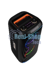 Колонка ELTRONIC 30-86 DANCE BOX 900 - 06