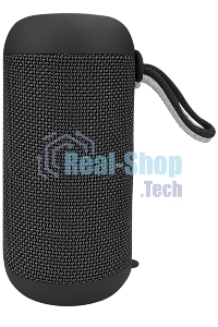 Портативная колонка SOUNDMAX SM-PS5012B черный