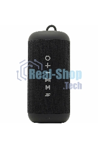 Портативная колонка SOUNDMAX SM-PS5012B черный