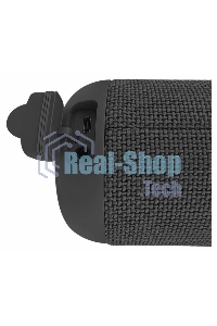 Портативная колонка SOUNDMAX SM-PS5012B черный