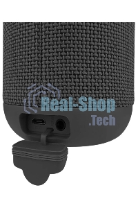 Портативная колонка SOUNDMAX SM-PS5012B черный